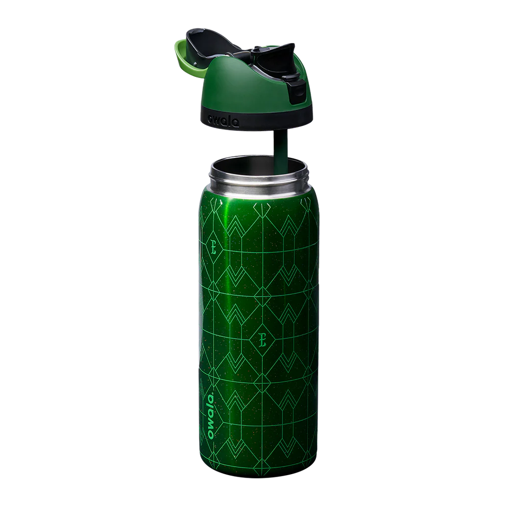 Wicked For Good Owala FreeSip 32oz