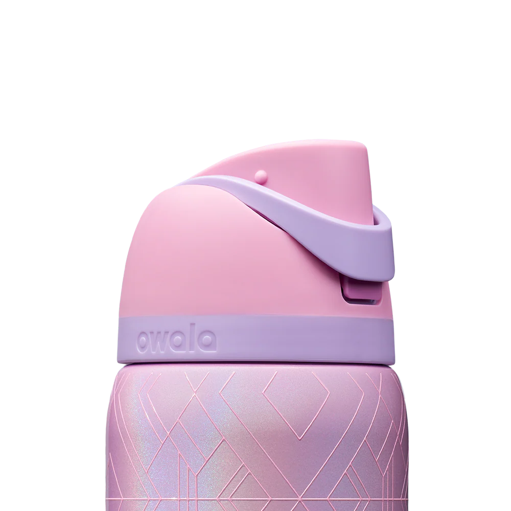 Wicked For Good Owala FreeSip 32oz