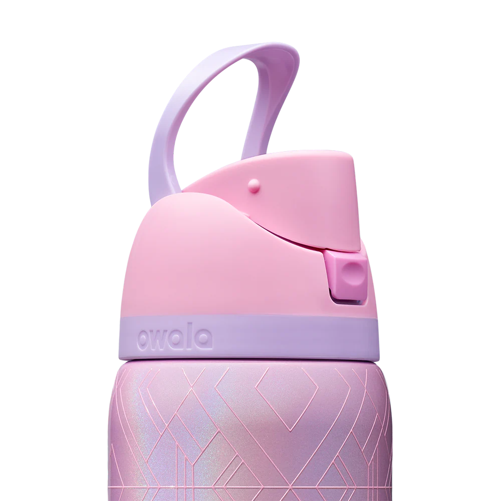 Wicked For Good Owala FreeSip 32oz